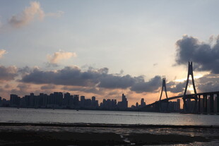 黄昏下的城市桥梁美景