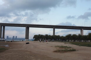 郊外高架桥景观