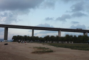 郊外高架桥风景