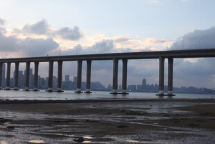 跨海大桥与城市天际线