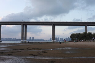 海滨大桥下的宁静景致