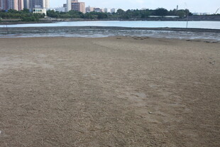 城市边的空旷沙滩景色