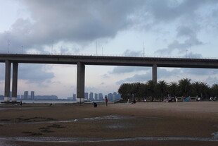 城市高架桥横跨开阔地带