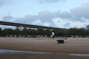 桥下空旷场地与远处景象