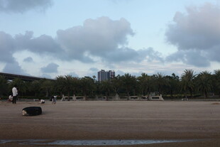 海滩远景天空与树木景观