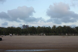 黄昏下的空旷场地与树木