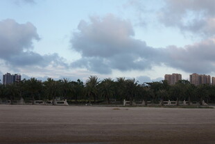 城市边缘的开阔草地与天际