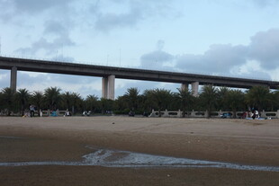 河边高架桥与开阔沙地