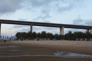 海滨大桥下的开阔景致