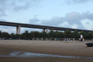 海滨大桥下的开阔沙滩