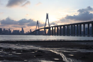 夕阳下的跨海大桥美景