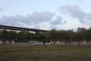 城郊草地与高架桥景象