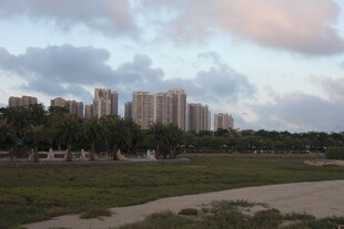 城郊黄昏景色高楼与绿地