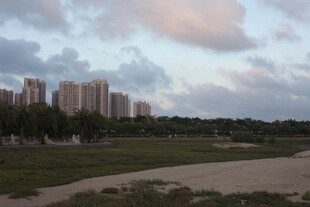 黄昏下的城市与绿地景观