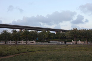 高架桥横跨开阔绿地