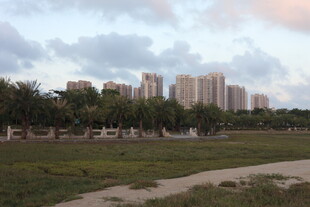 城郊风景高楼与绿地相映