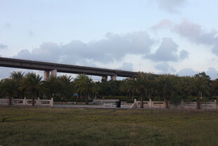 高架桥横跨开阔绿地