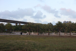 户外草地与高架桥景观