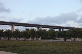 高架桥横跨开阔绿地