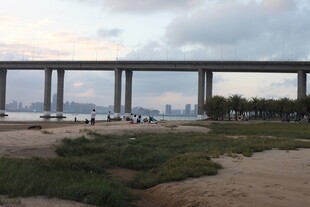 海滨大桥下的自然风光