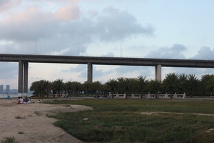 黄昏下的高架桥与绿地