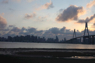 黄昏下的城市桥梁风景