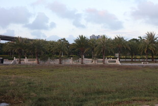 户外开阔草地与树木景观