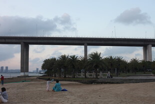 海滨大桥下的休闲场景