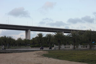 城郊桥梁下的开阔风景