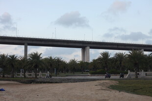 城市中的高架桥与绿植景观