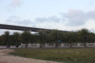 城郊公路旁的绿植与高架桥