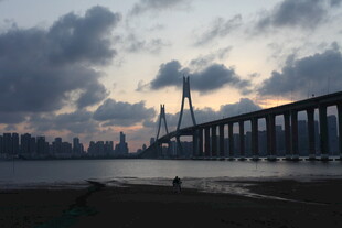 黄昏下的跨江大桥美景