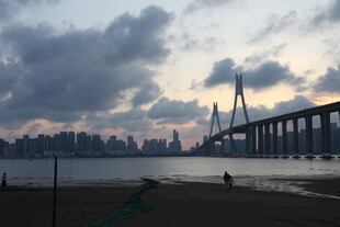 黄昏下的大桥与城市景观