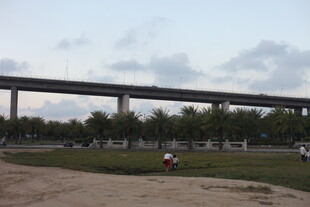 城市公园中的高架桥景观