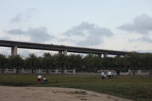 城郊公园与高架桥景观