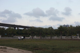 郊外开阔草地与远处桥梁