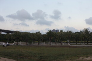 户外草地树木风景图