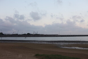 黄昏下的宁静河岸风光