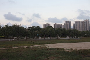 城郊风景楼林与绿地相映