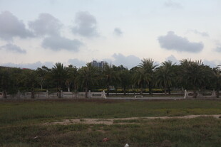 户外草地树木风景图