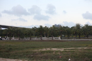 户外开阔草地与树木景观