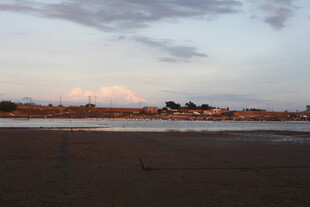 黄昏下的开阔河岸风景