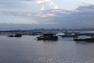 黄昏下宁静的水上船只景象