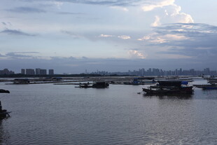 江边停泊船只的宁静景象