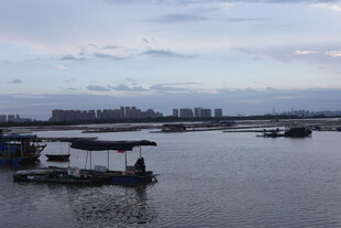 江边水上船只宁静景象