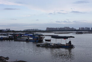 江边停泊的船只景象