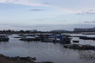 江边停泊的众多船只