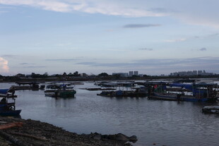 宁静港湾中的停泊船只