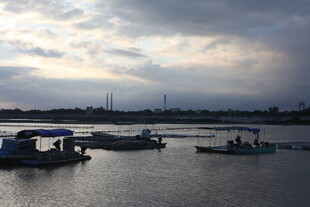 黄昏下宁静的水边码头景象