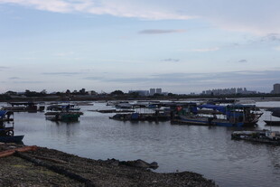 宁静港湾中的停泊船只